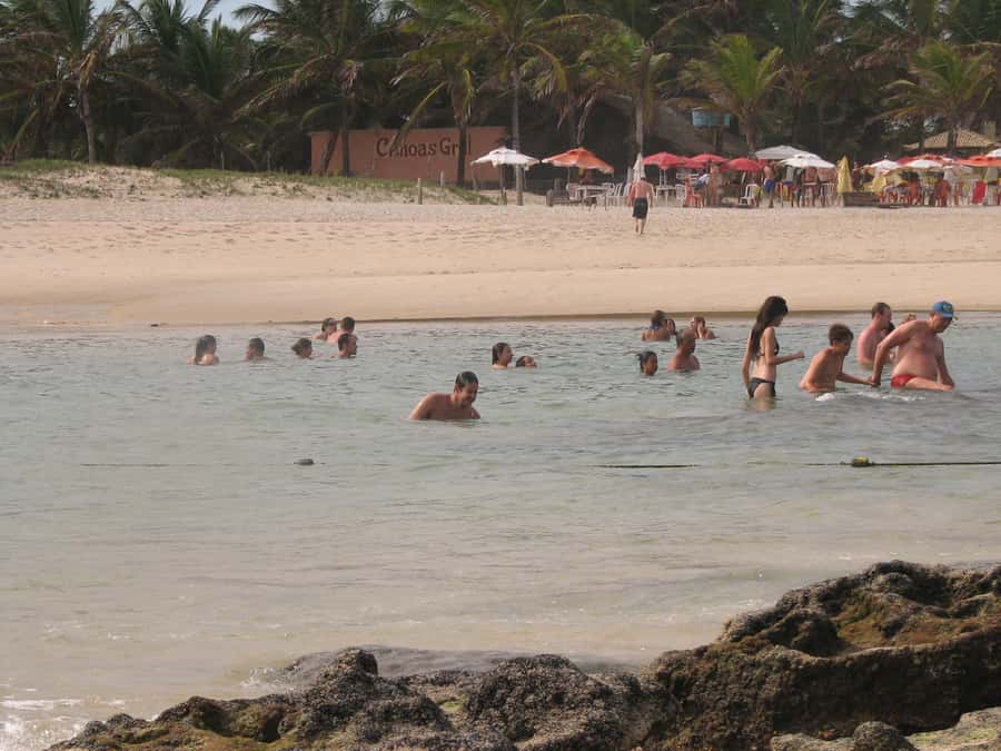 Barra do Cunhaú Full-Day Trip from Natal - Who this trip suits, and who might want to skip it