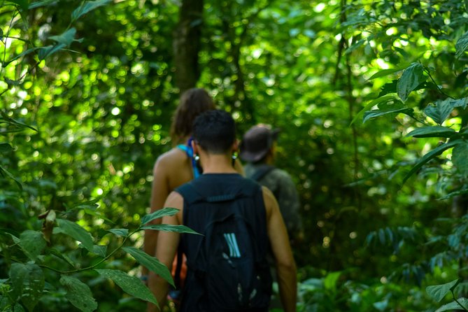 Bathing in the Forest Trail in Foz do Iguaçu - The 3.5 Hours That Stay Manageable