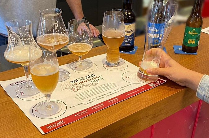 Beer Tasting Experience - Who should book this tasting in Itajaí and beyond