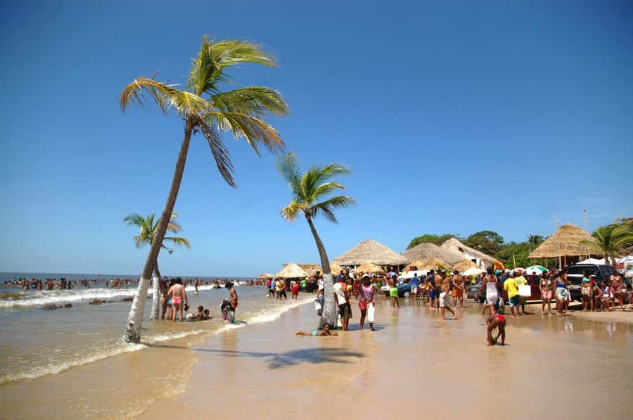 Belém: 2, 3 or 4-Day Marajó Island Excursion with Lodging - Key things to know before you go