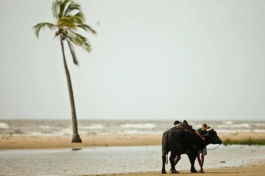 Belém: 2, 3 or 4-Day Marajó Island Excursion with Lodging - Where you sleep: Soure and the pousada reality check