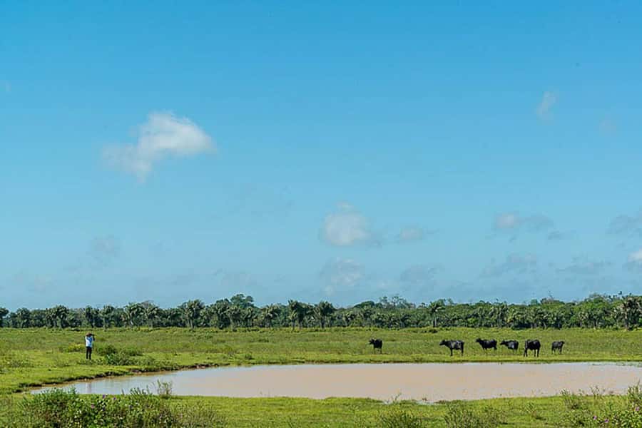 Belém: 2, 3 or 4-Day Marajó Island Excursion with Lodging - Marajoara culture stops: what you’ll actually take away