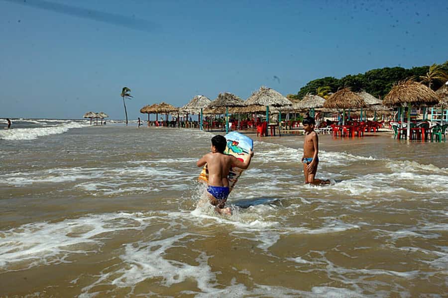 Belém: 2, 3 or 4-Day Marajó Island Excursion with Lodging - Food and drinks: what’s included, what you must budget