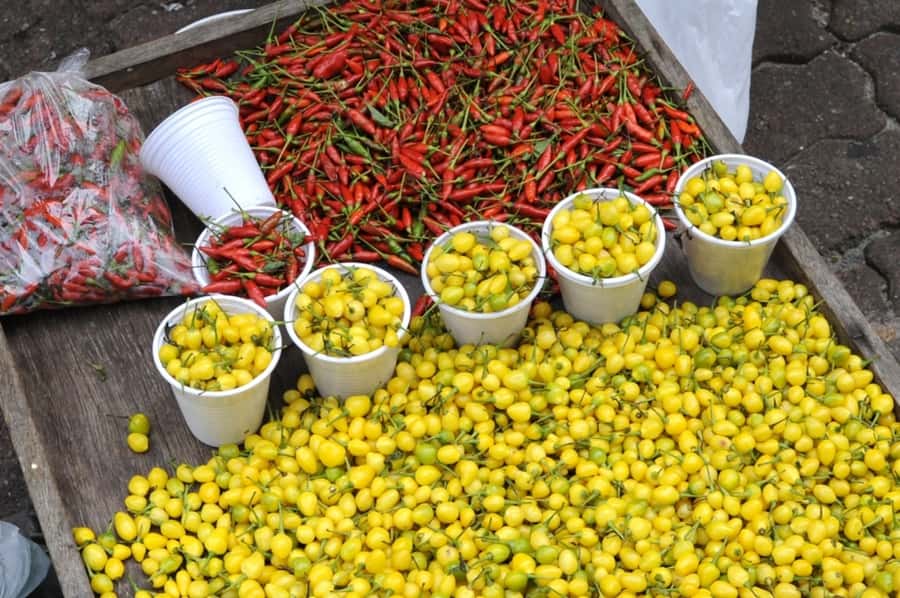 Belém: Half-Day City Tour with Ver-o-Peso Market Visit - Key Highlights You Will Actually Feel