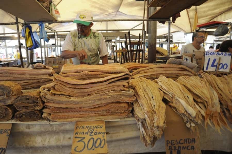 Belém: Half-Day City Tour with Ver-o-Peso Market Visit - Why Belém’s Market-Then-Landmarks Route Works in 4 Hours