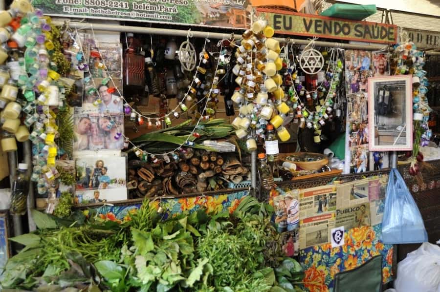Belém: Half-Day City Tour with Ver-o-Peso Market Visit - Ver-o-Peso Market on Guajará Bay: What to Focus On
