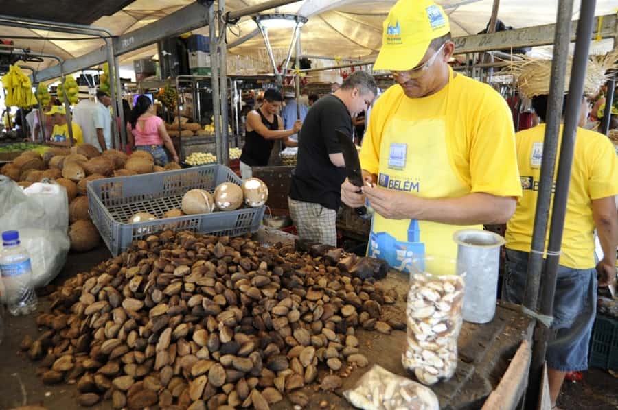 Belém: Half-Day City Tour with Ver-o-Peso Market Visit - Guides, Language, and Why the Experience Feels Personal