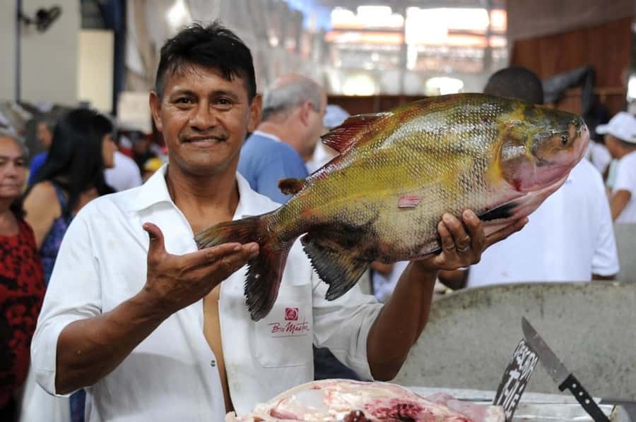 Belém: Half-Day City Tour with Ver-o-Peso Market Visit - Hotel Pickup and the Smart Way the Day Flows
