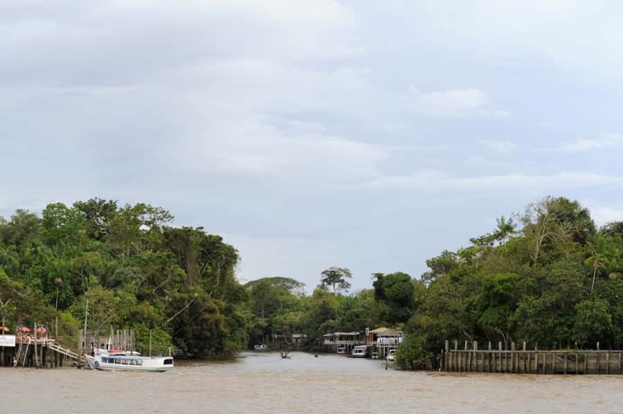 Belém: Half-Day Furos Boat Tour & Riverside Community Visit - Key highlights you should know before you go