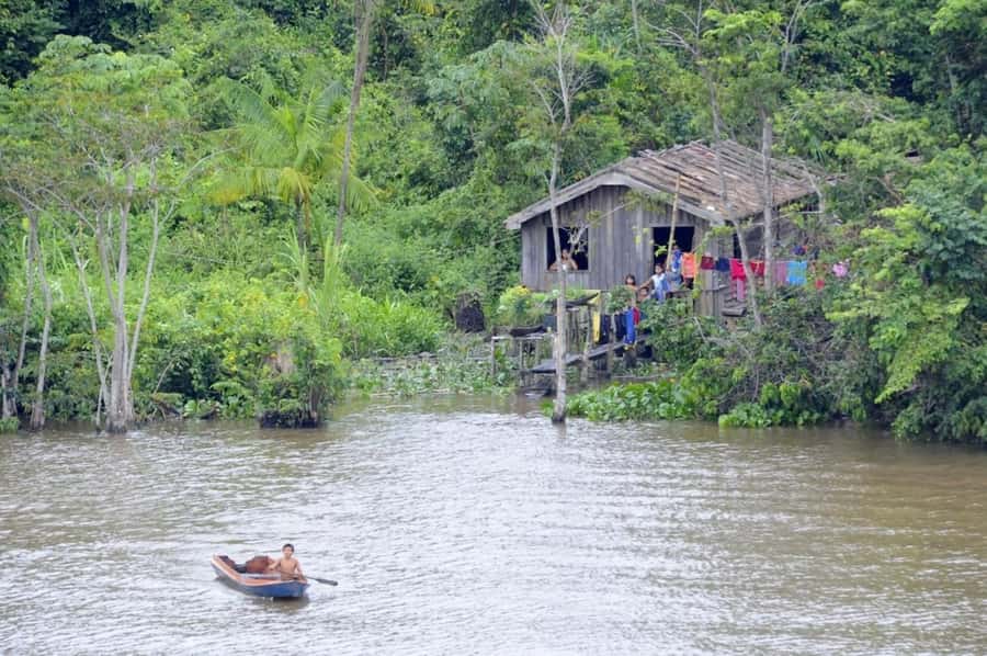 Belém: Half-Day Furos Boat Tour & Riverside Community Visit - Amazon Lowland Forest: What You’re Looking At From the Boat