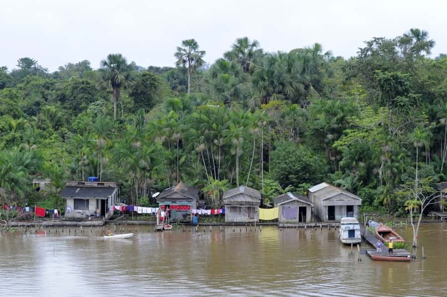 Belém: Half-Day Furos Boat Tour & Riverside Community Visit - Guide Quality, Interpretation, and What You Actually Pay For