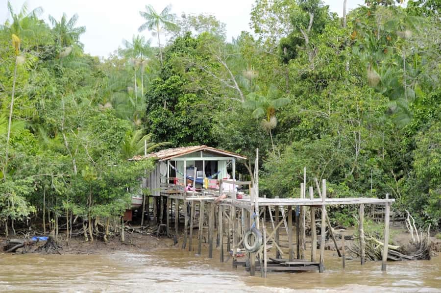 Belém: Half-Day Furos Boat Tour & Riverside Community Visit - Combú Island and the Furos: Furo do Benedito and Furo da Paciência
