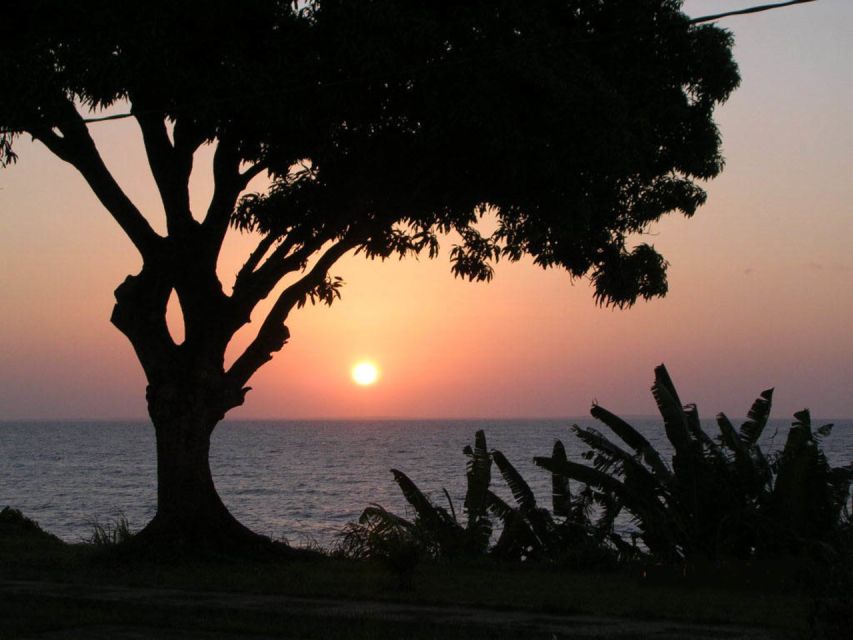 Belém: Ilha do Mosqueiro River Beach Trip - Price and logistics: is $160 per person good value?