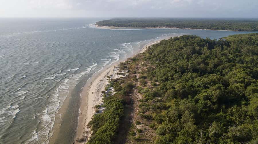 Belém: Marajó Island Day Trip with Buffalo Farm Visit - Marajó Island from Belém, a day trip with real river time