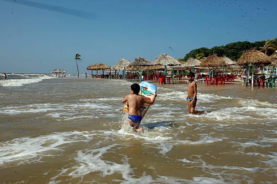 Belém: Marajó Island Day Trip with Buffalo Farm Visit - Price and value: what your $160 per person covers, and what can change