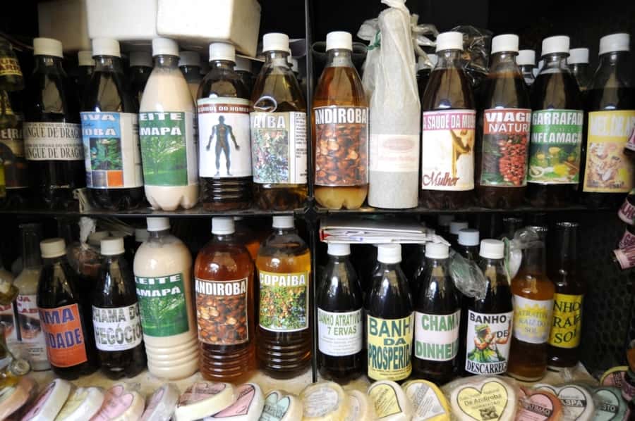 Belém: Ver-o-Peso Market and Full-Day City Tour with Lunch - Who Should Book This Tour, and Who Might Feel Rushed
