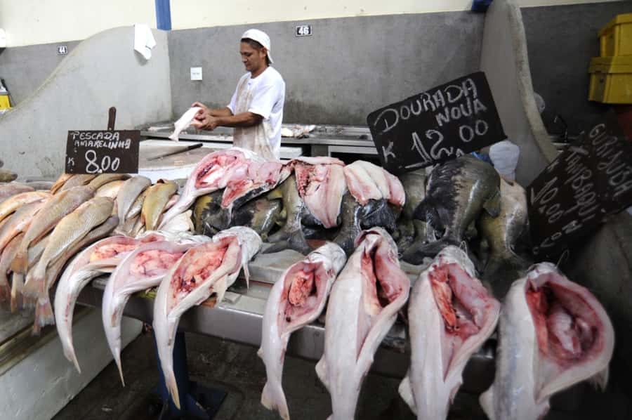 Belém: Ver-o-Peso Market and Full-Day City Tour with Lunch - Belém in One Day, Market to Museums