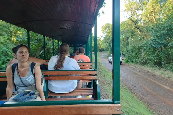 Beyond Iguassu Falls, visit Iguassu Falls with the best company - Day 1 on the Argentine side: train ride, then walking toward the viewpoints