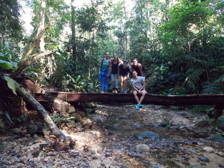 Bico do Papagaio Guided Hiking Tour in the Tijuca Forest - Cachoeira das Almas: the natural shower moment