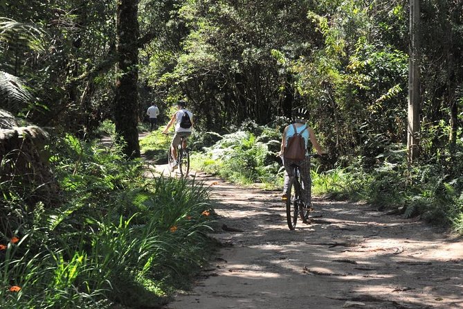 Bicycle rental in Horto Florestal - Campos do Jordão - Mountain biking to Cachoeira and the red grove in Campos do Jordão