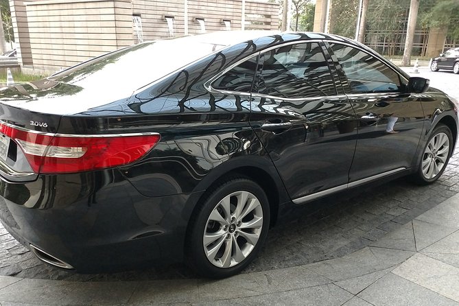 Bilingual Driver-Transfer from GRU Airport to Hotels in SP(sedan) - Vehicle Comfort, WiFi, and the Little Extras That Help