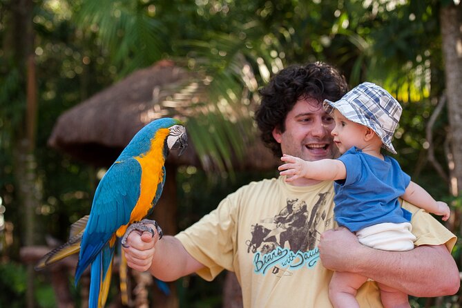 Bird Park General Admission Ticket and Tour - Hotel Pickup and the 4-Hour Plan: How to Make It Fit Your Day