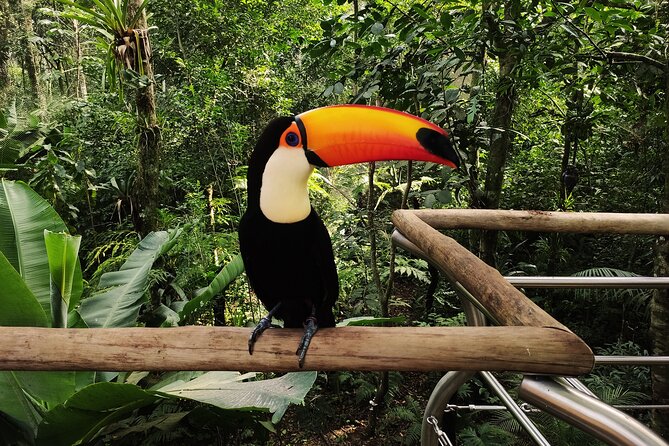 Bird Park General Admission Ticket and Tour - On-Site Food: Snacks, Lunch, and When to Eat