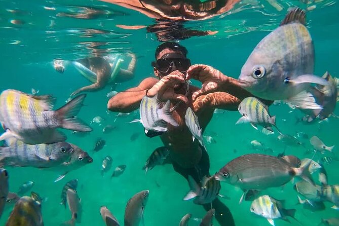 Boat Tour in Buzios with Lunch - Key things to know before you go