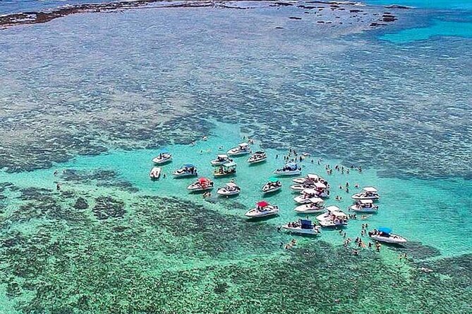 Boat Tour in Maragogi - Key Highlights You Will Actually Feel on the Trip