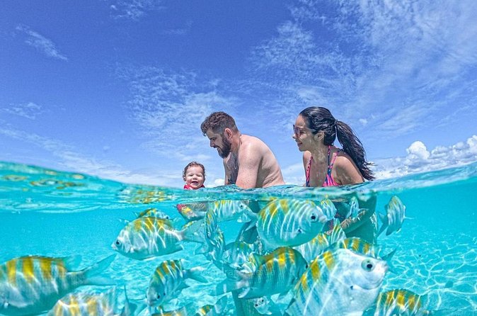 Boat Tour in Maragogi - Coral Banks and the Way of Moses Walk