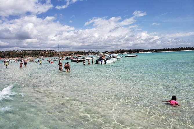 Boat Tour in Maragogi - Price and Value: What $23.52 Gets You