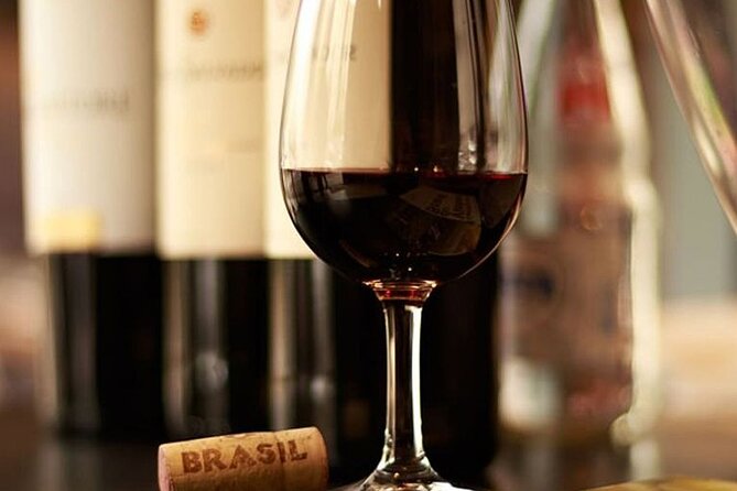 Brazilian BBQ Guided Dinner in Rio with Wine Pairing - How the Wine Pairing Fits, and What To Do If You Want More Pairing Talk