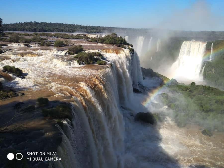 Brazilian Falls, Bird Park and Itaipu Dam - Parque das Aves Bird Park: The Best Part of Slowing Down for Nature