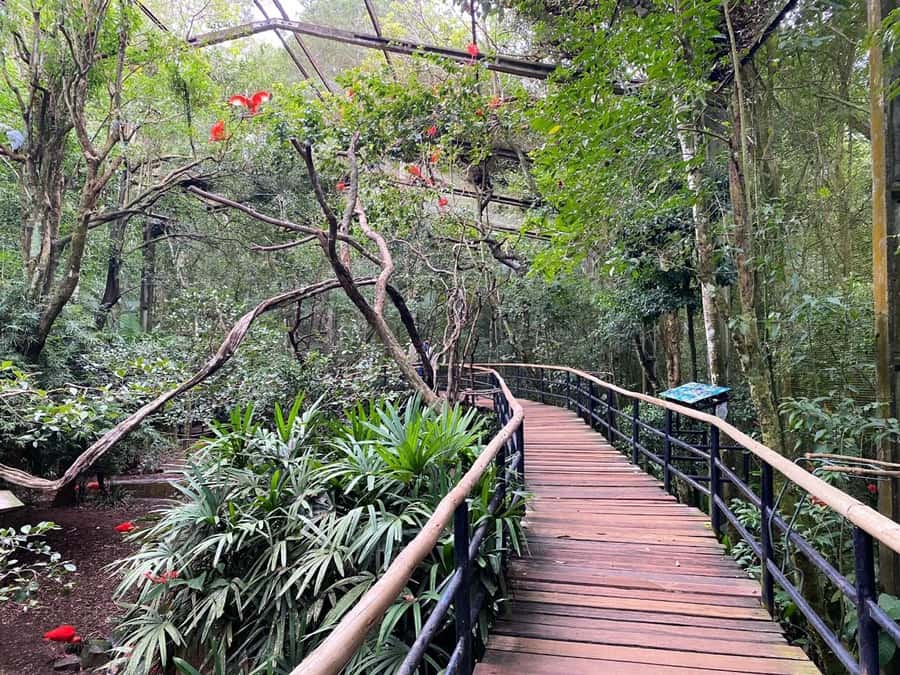 Brazilian Falls, Bird Park and Itaipu Dam - Price and Value: What You Get, What You Pay Extra