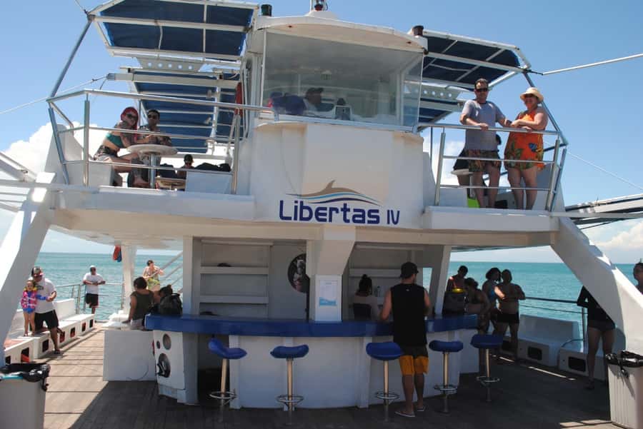 Búzios: Catamaran Boat Tour - Should you book the Búzios catamaran boat tour?