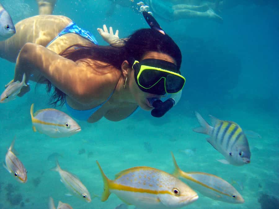 Búzios Day Trip from Rio de Janeiro - Why Búzios works as a day trip from Rio