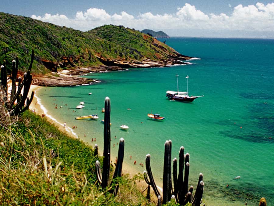Búzios Day Trip from Rio de Janeiro - Getting there: pickup zones and the long road reality