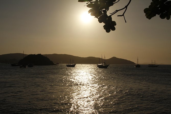 Buzios Day Trip with Lunch, City Tour and Cruise from Rio de Janeiro - Free Time in Buzios: Make It Count