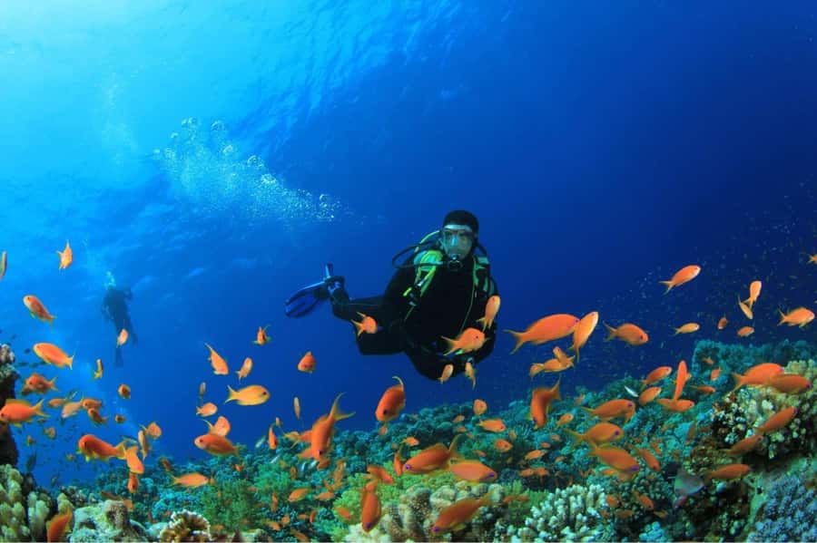 Buzios - DIVING EXPERIENCE - Key highlights before you go