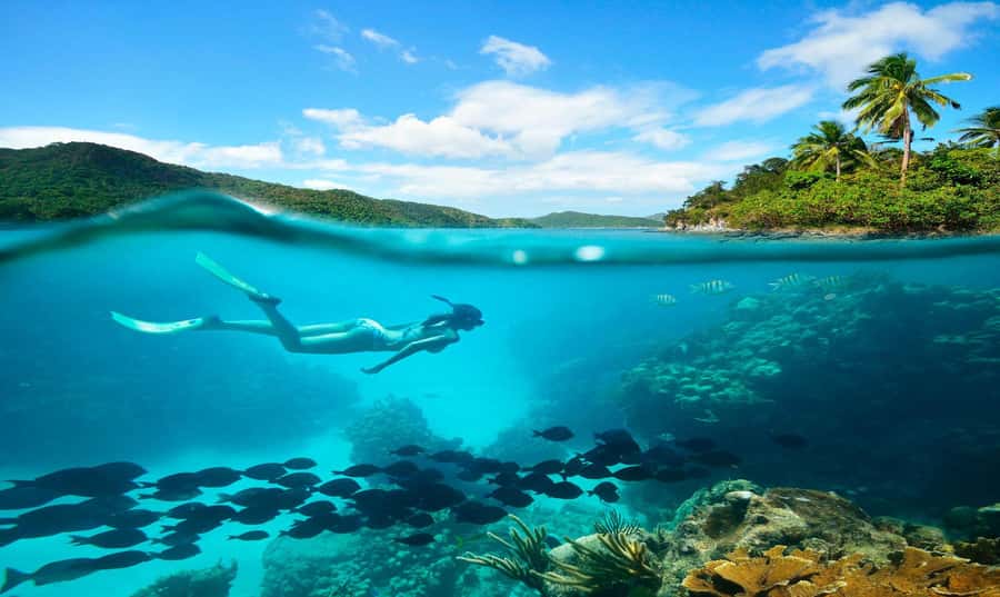 Buzios - DIVING EXPERIENCE - Arrecife reef on the Búzios Peninsula: what you’re actually going for