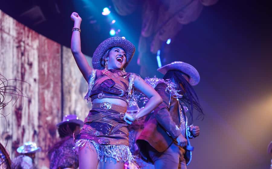 By Night Tour: Roxy Dinner Show & Transfer - Price and logistics: what the $174 ticket really buys you