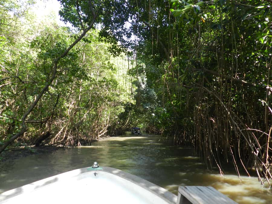 Caburé - Boat tour on the Rio Preguiças - Getting There: Barreirinhas Pickup and an 08:00 Start