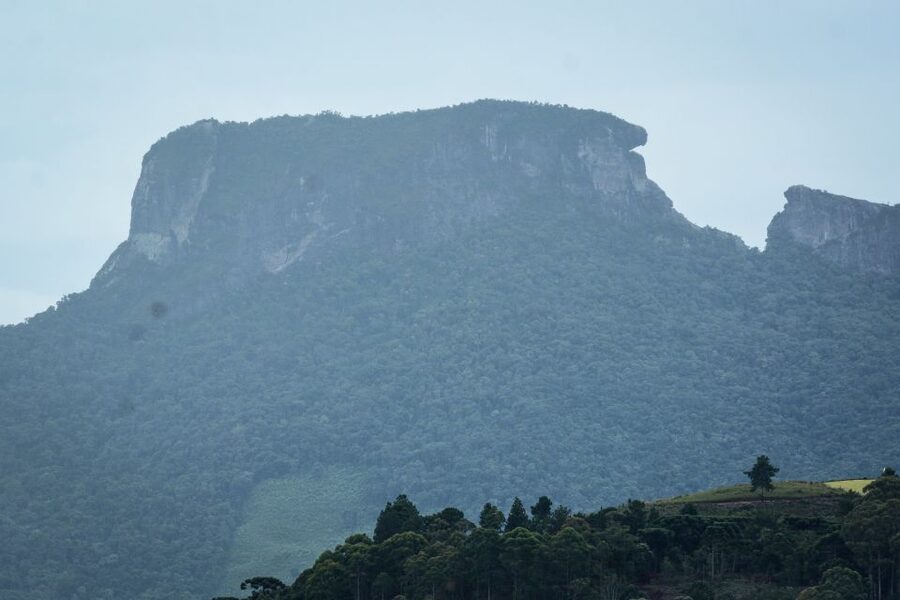 Campos do Jordão: Full-Day Private Tour from São Paulo - Price and value: what you’re paying for at $600 per group