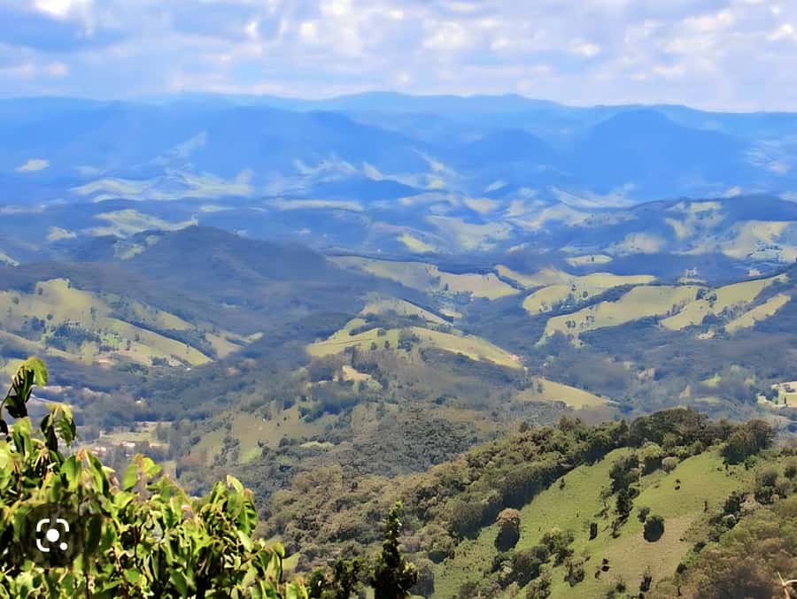 Campos do Jordão The Brazilian Switzerland,Full Day Trip - Price and Logistics: What $250 Really Buys, and What to Budget for