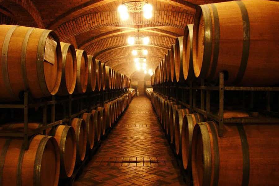 Canela/Gramado: South Wineries, Wine Train, & Italian Park - Aurora Winery in Bento Gonçalves: learning the winemaking basics you can actually remember
