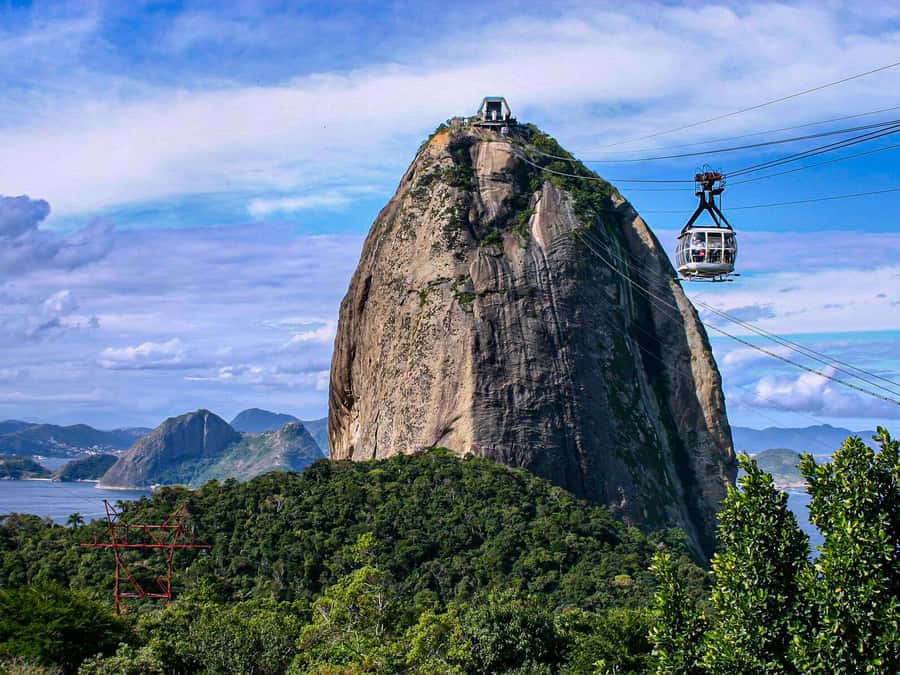 Christ the Redeemer and Escadaria Selarón Half-Day Tour - Riding into Rio through Tijuca rainforest, plus the Santa Teresa vibe