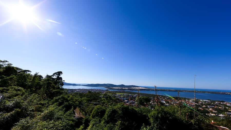 City Tour Florianópolis - Projeto Tamar sea turtles: what you’re really paying for