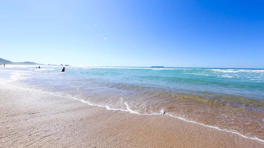 City Tour Florianópolis - Is $39 good value for this 9-hour mix of city, beach, and turtles?