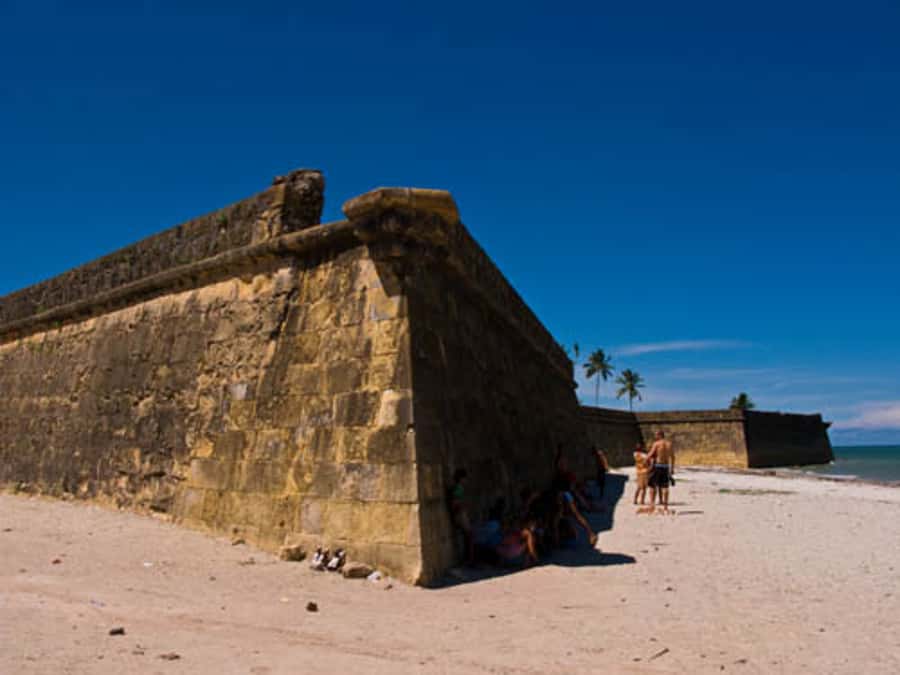 Colonial North Coast beaches - Full-Day Tour - Key Highlights You’ll Care About