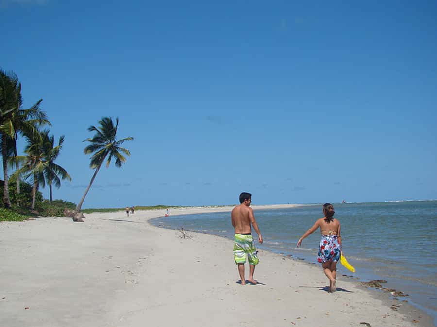 Colonial North Coast beaches - Full-Day Tour - Optional Water Time to Coroa do Avião: The Main Event, But Confirm the Add-On